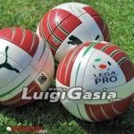 Palloni-Lega-PRO_2012-350×233